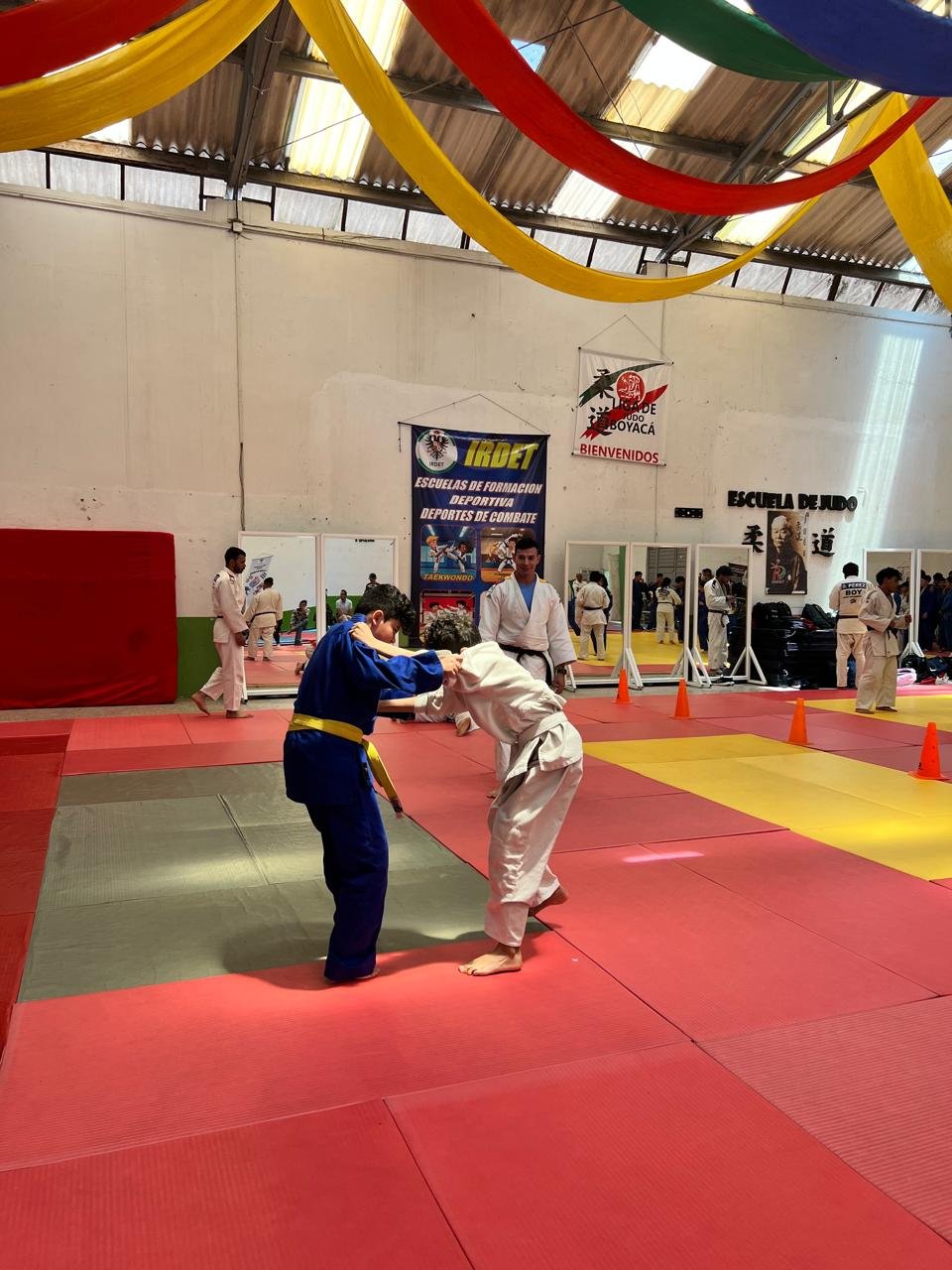 Judo Boyacá tatami