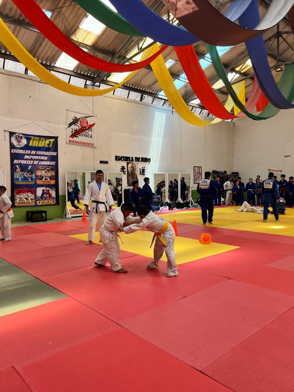 Proveedor oficial judogis